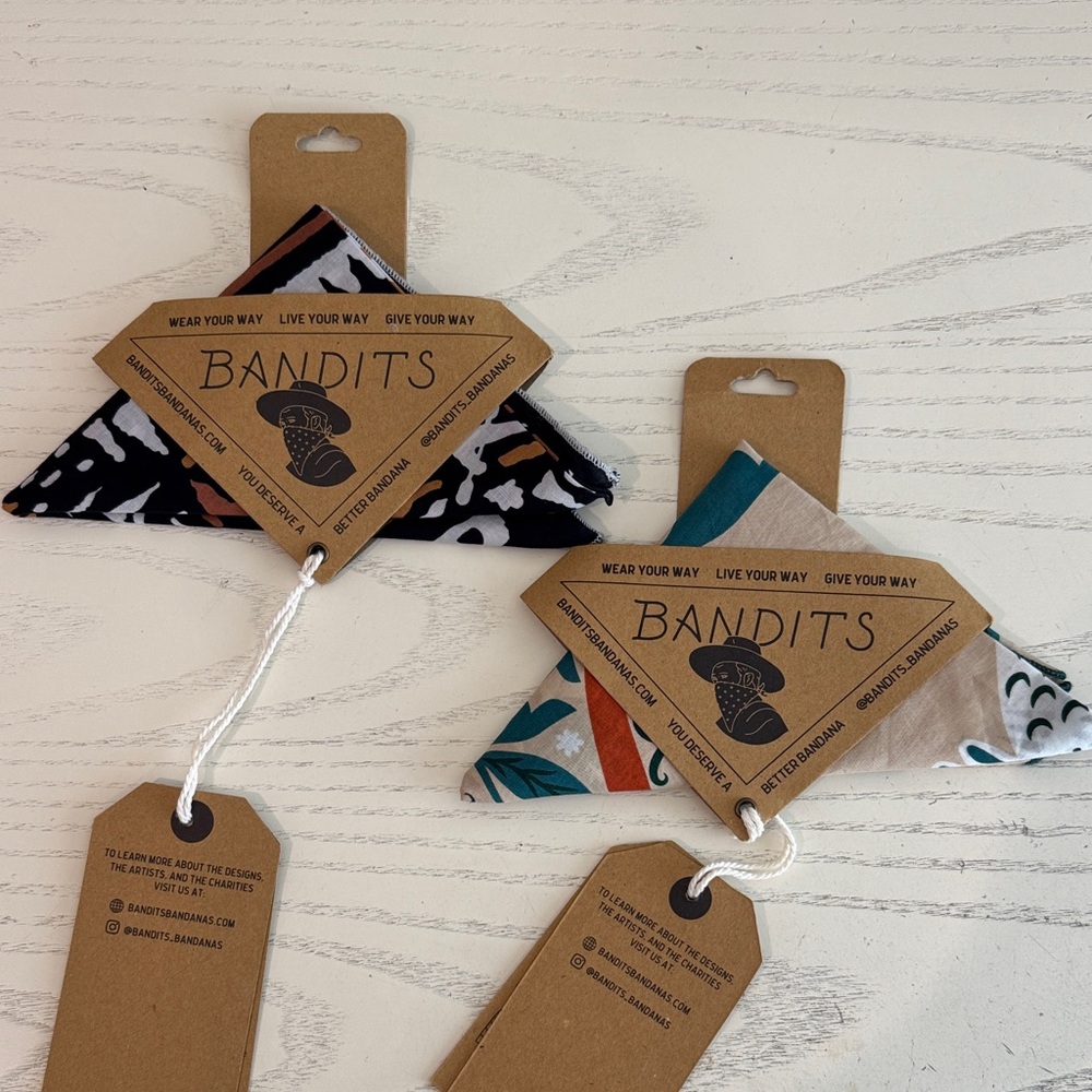 Bandits Bandana Set - Black & Teal Patterned Bandana